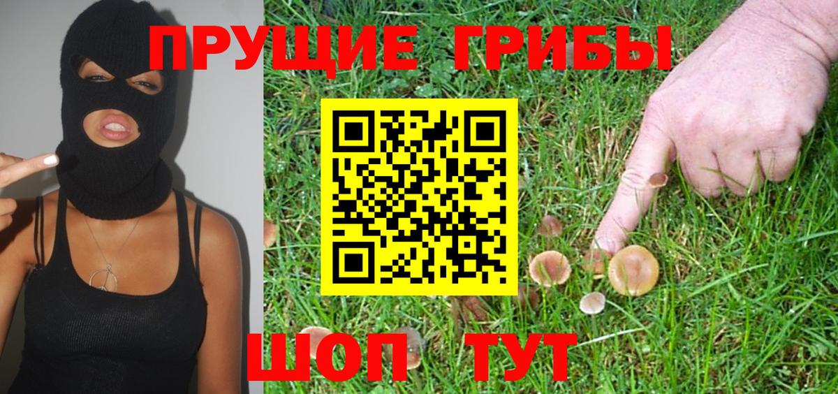 Псилоцибиновые грибы Magic Shrooms Мурино