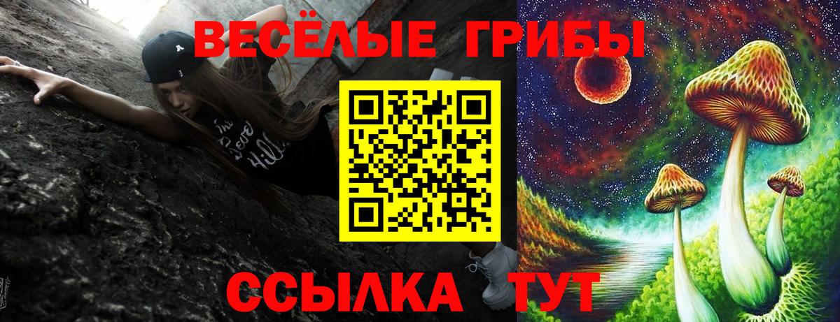 Галлюциногенные грибы Cubensis  Вход с VPN  Мурино 